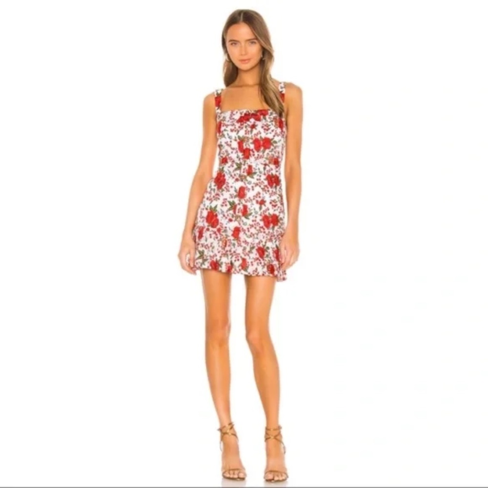 ALEXIS Melora Floral Embroidery Pleated Mini Dress Red/White S
